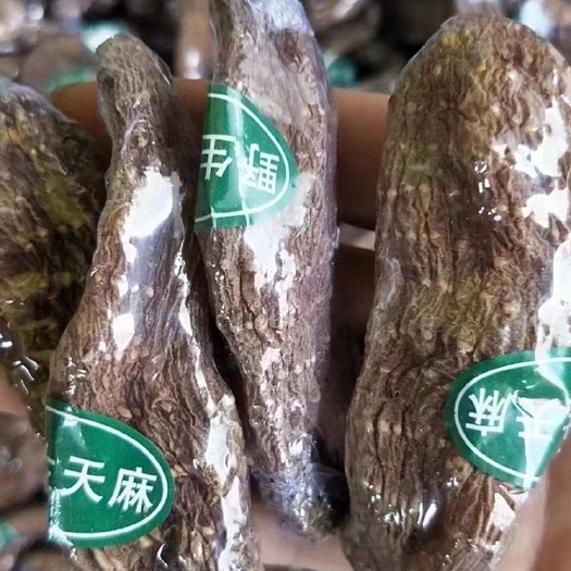 河口县昭通天麻