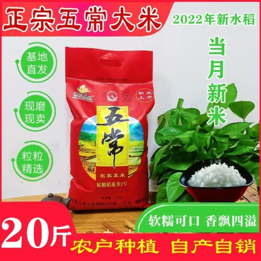 正宗五常大米，哈尔滨五常市核心产区农家种植生产！！！