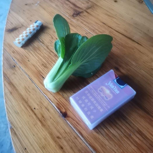 上海小青菜
