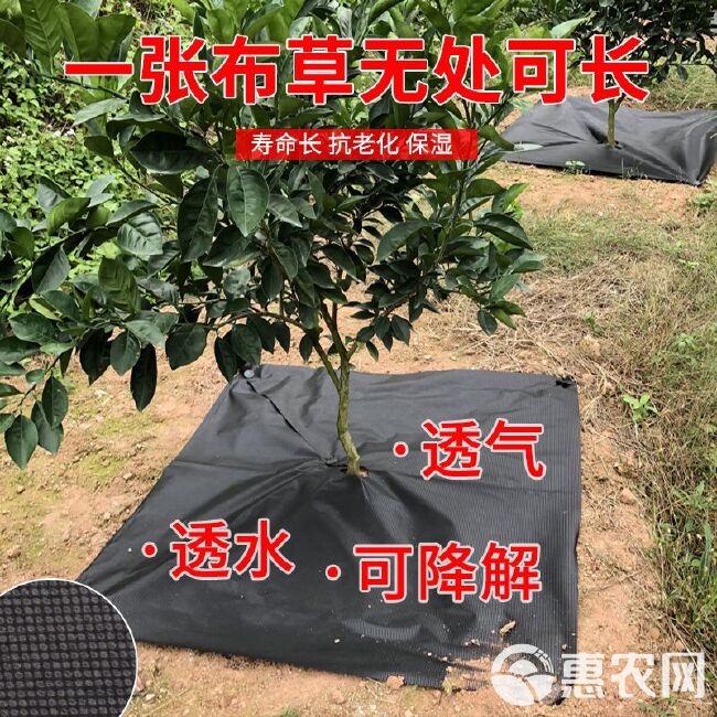 防草布新型防草布除草布批发透气透水槟榔树果树农用地膜盖草布厂