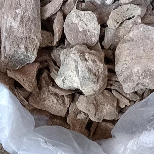 天镇县土龙骨