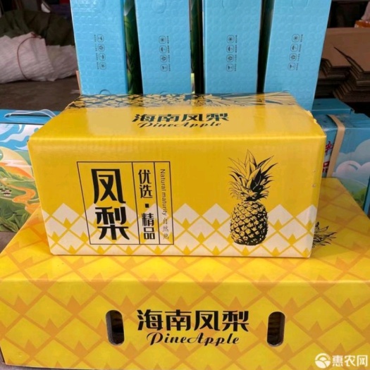  海南当季金钻凤梨，香甜多汁自然熟，支持一件代发团购各大平台