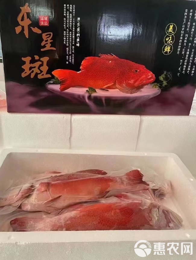 各种海鲜礼盒装   品类齐全  应有尽有  您出预算我出方案