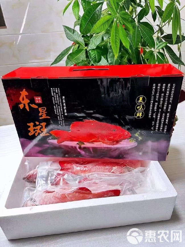 各种海鲜礼盒装   品类齐全  应有尽有  您出预算我出方案