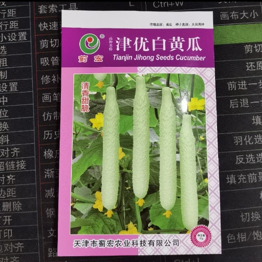 白黄瓜种子白玉青瓜春秋四季播种甜脆水果黄瓜种子