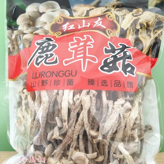 古田县鹿茸菇