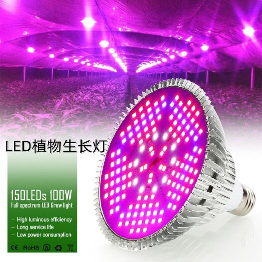 故城县全光谱植物补光灯灯