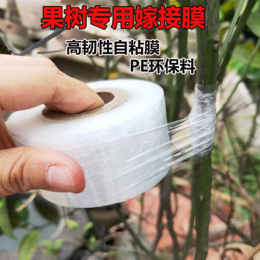 故城县嫁接膜  自粘膜  无需打结接树