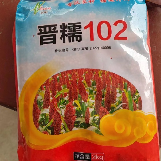 永济市全糯杂交高粱种子：出酒率高 晋糯102 抗倒伏 抗虫害 产量