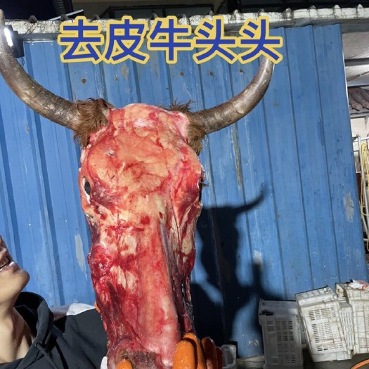 克东县牛头宴牛头