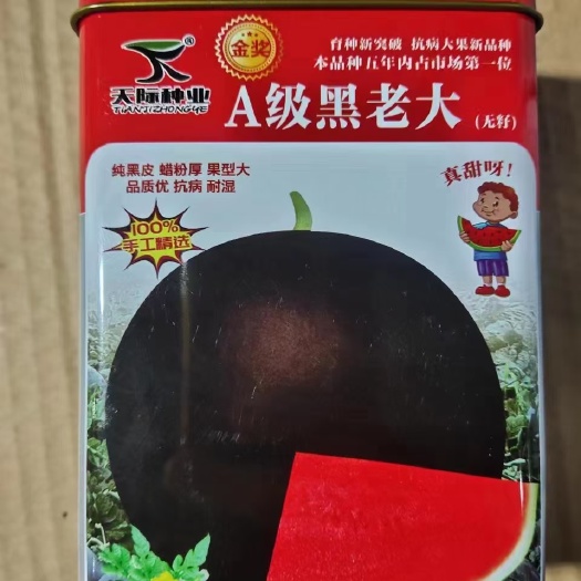 长沙A级黑皮无籽西瓜种子，50克，纯黑皮腊粉厚果型大