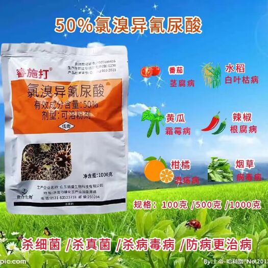 鄭州正品氯溴異氰尿酸農(nóng)藥殺菌劑病毒細(xì)菌真菌潰瘍腐爛瘡痂角斑稻瘟枯
