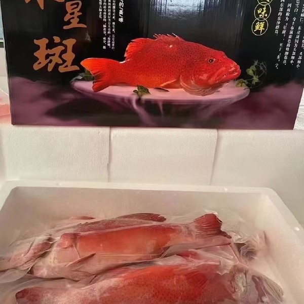 各种海鲜礼盒装   品类齐全  应有尽有  您出预算我出方案