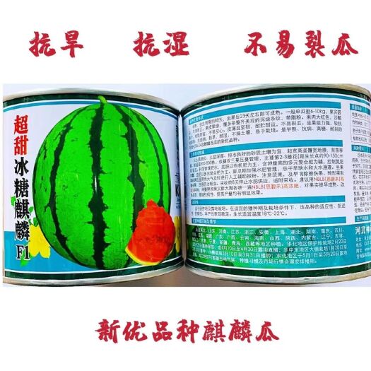 超甜冰糖麒麟西瓜种子早熟西瓜种子麒麟瓜罐装西瓜籽抗湿抗旱