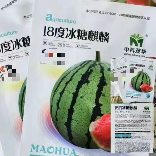 沭阳县中科茂华18度冰糖麒麟西瓜种子早熟抗病超甜粉红瓤西瓜种籽