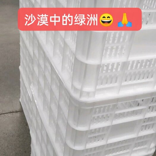 德州蔬菜水果周转框