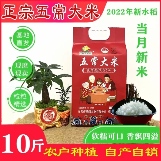 正宗五常大米，哈尔滨市五常市核心产区农家种植生产