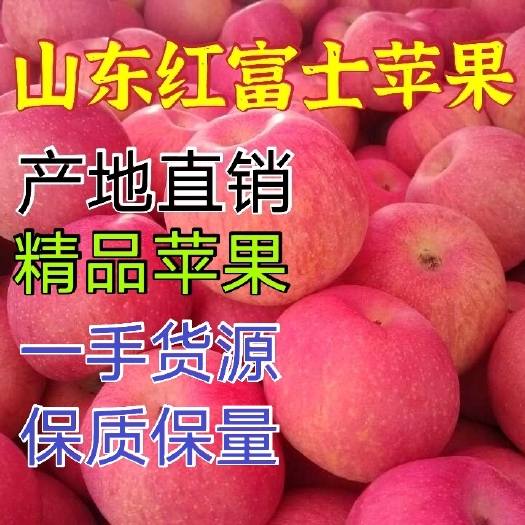 常年供应红富士苹果 产地直销 糖度高 脆甜