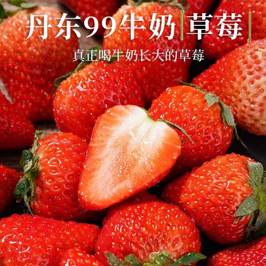 草莓新鲜四季草莓便宜酸甜味烘焙榨汁蛋糕糖葫芦商用草莓批发。