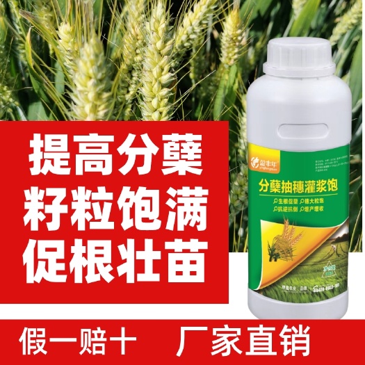 郑州小麦水稻专用叶面肥绿叶返青分蘖壮苗孕穗灌浆麦黄金柯杈肥