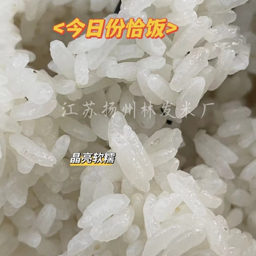 江苏扬州南粳5055大米现磨现发批发零售
