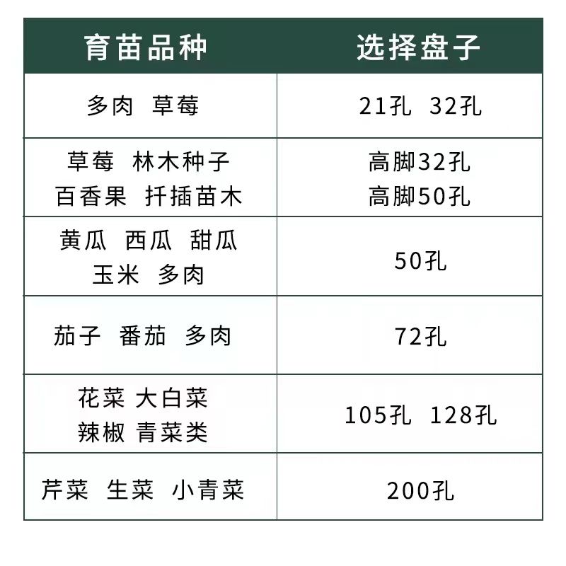 育多肉加厚农用圆孔专用育苗多肉玉米长方形水培盘塑料托盘