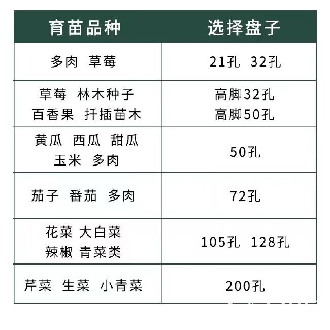 育多肉加厚农用圆孔专用育苗多肉玉米长方形水培盘塑料托盘