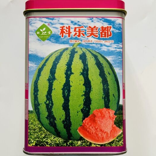 科乐美都西瓜种子早熟品种耐放产量高西瓜种籽8424西瓜