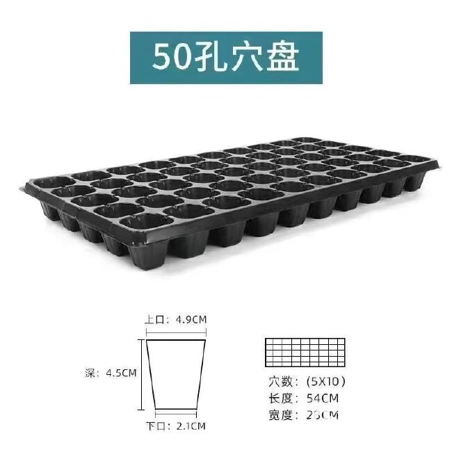 育多肉加厚农用圆孔专用育苗多肉玉米长方形水培盘塑料托盘