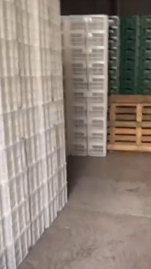 德州蔬菜水果周转框