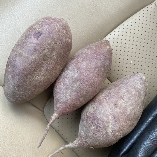 陆丰市紫薯小花叶一代  大量出货现挖