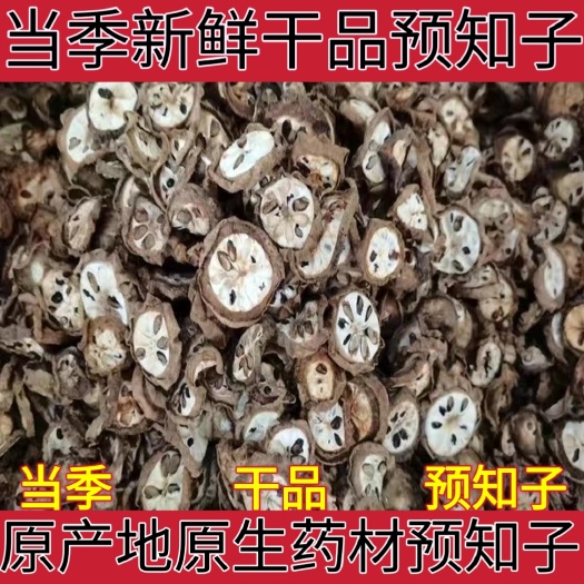 八月札中药材预知子无硫八月札八月瓜新货预知子生晒干净