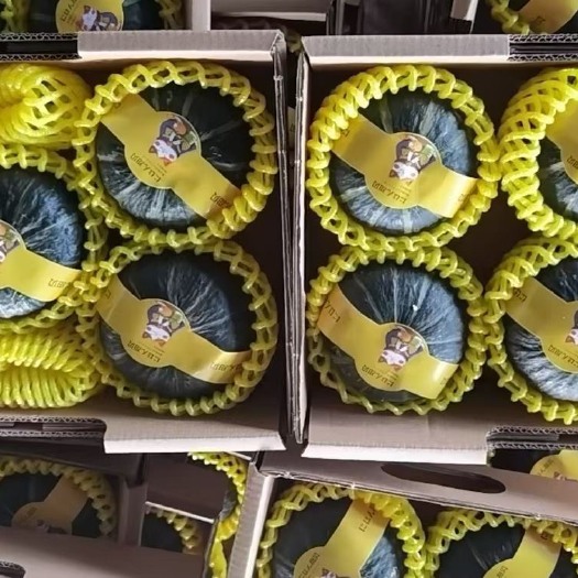 昌乐县缅甸贝贝南瓜，原价地，电商批发市场，量大询价。