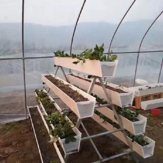 沧县草莓立体种植槽无土栽培槽PVC槽温室立体棚阳台种植架
