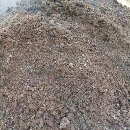 龙门县发酵牛粪