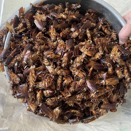 弥渡县质量好，颜色正，油脂低