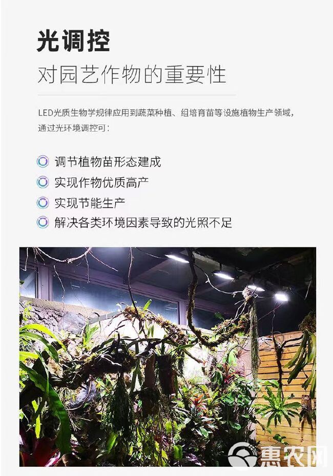 太阳能补光灯 植物生长灯补光花卉蔬菜全光谱