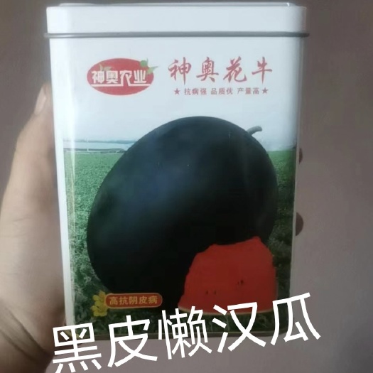 扶沟县神奥花牛黑皮西瓜种子中晚熟薄皮大果不空心抗病能力强