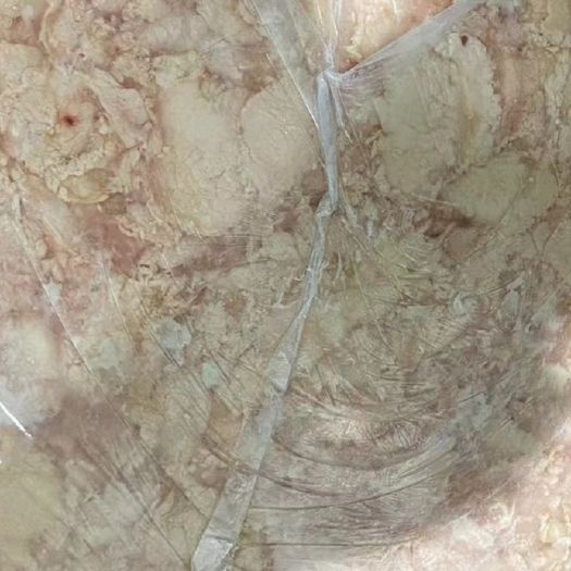沂南县鸡油