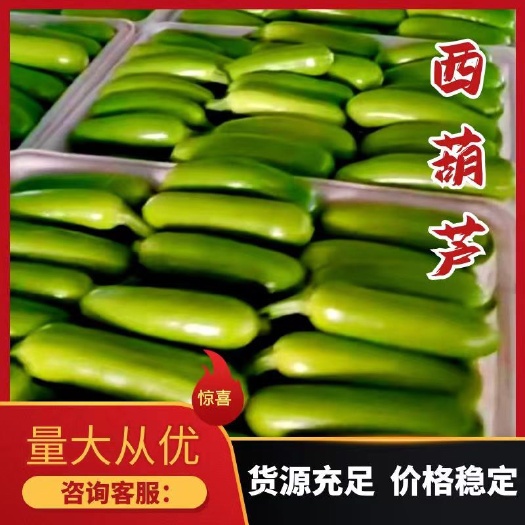费县山东费县西葫芦，产地批发，绿皮西葫芦货源稳定