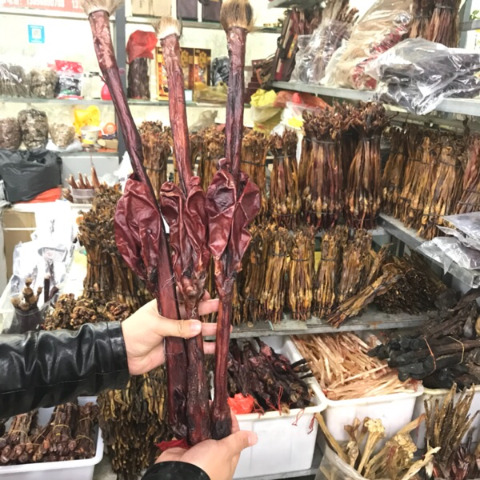 亳州牛鞭 正品牛鞭 牛鞭肾 中药材牛鞭【假一赔十】