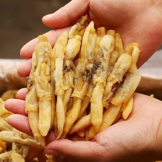 日照【净重无干燥剂增重】淡干蛏子干9成干竹节蛏海蛏子肉干海鲜干货