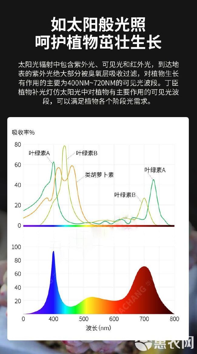 大棚全光谱蔬菜 生长灯补光灯  蔬菜花卉上色增产