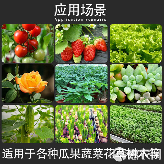 大棚全光谱蔬菜 生长灯补光灯  蔬菜花卉上色增产