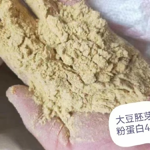 石家庄厂家直销，大豆胚芽粉