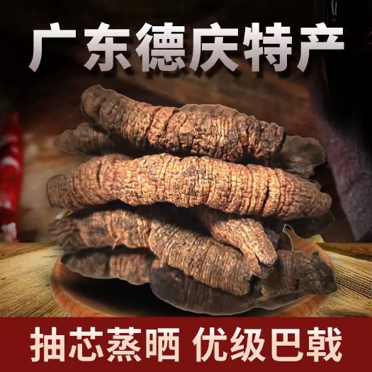 德庆县广东肇庆德庆原产地鲜巴戟天批发价