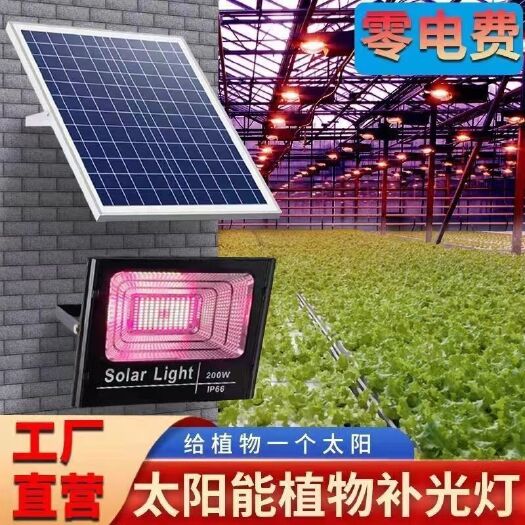 故城县太阳能补光灯 植物生长灯补光花卉蔬菜全光谱