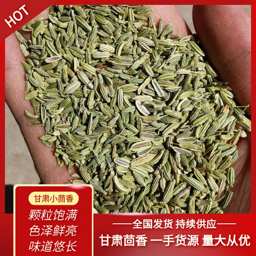 民勤县甘肃民勤东湖镇小茴香，孜然，葵花籽。常年产地直销