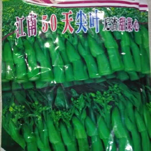 广东50天菜心种子，粗条，油绿有光泽，甜脆无渣