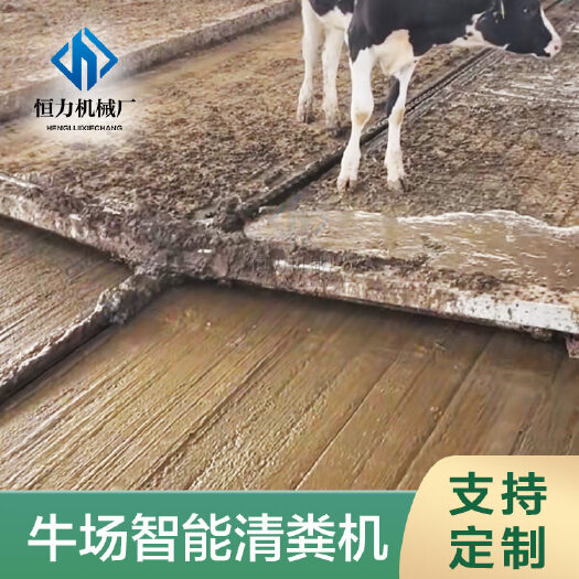 荥阳市养牛场全自动清粪机械 一拖二电动链条牵引刮粪板